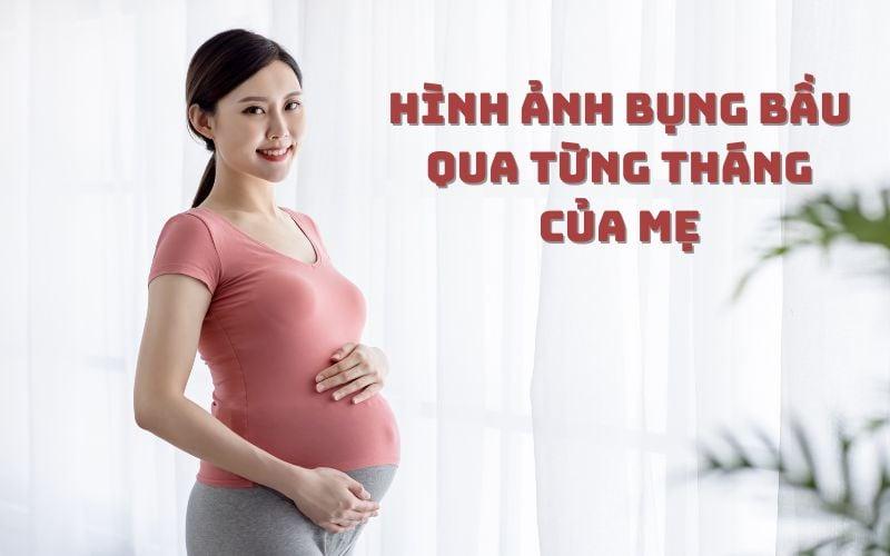 Hình ảnh bụng bầu 1 tháng có gì đặc biệt?