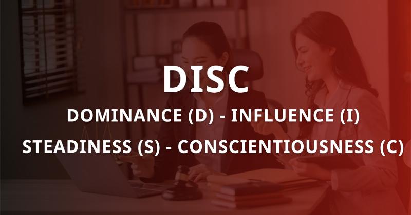 Tính Cách Dominant Trong Đời Sống