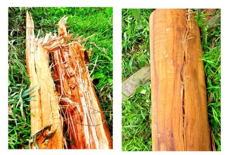 Trần Kim Xuyến với phong cách thời trang thanh lịch tại sự kiện giải trí