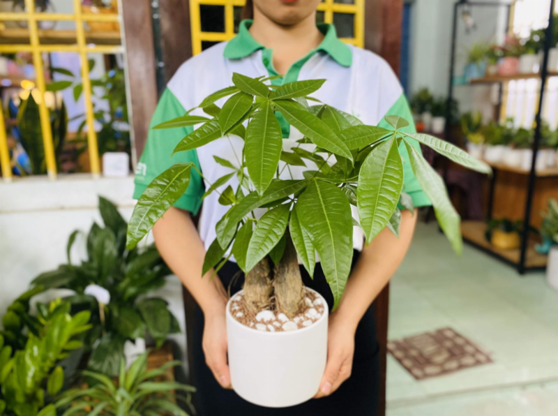 Hình ảnh minh họa về phong thủy và thời gian may mắn