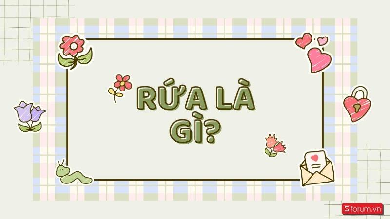 Ý nghĩa của từ "rứa"