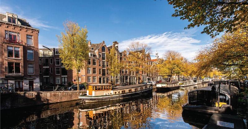 Check-in Amsterdam Hà Nội sống ảo