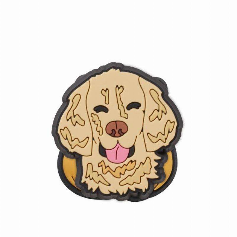 Chó Golden Retriever chơi bóng với trẻ em