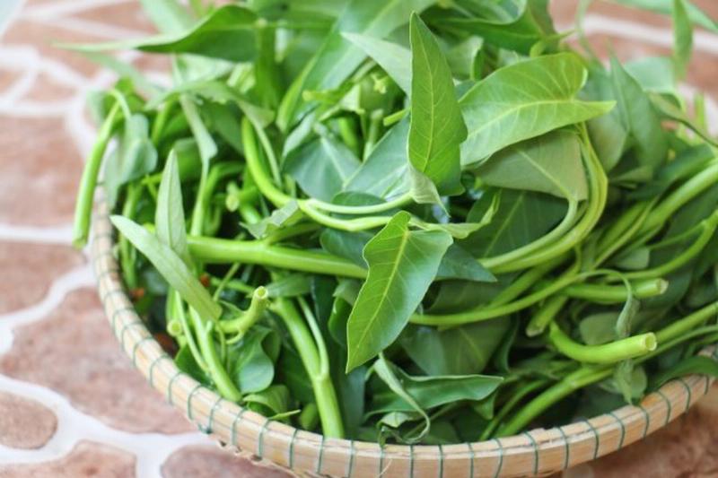 Chọn Rau Muống Tươi Ngon