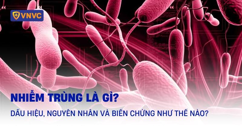 Biểu đồ đơn giản minh họa cách thuật toán tìm kiếm hoạt động và điểm mà nội dung độc hại (biểu tượng đầu lâu hoặc virus, có gắn nhãn 'phim sex học sinh mỹ') có thể xen vào, và biểu tượng lá chắn/CPOPPING chặn đứng nó.