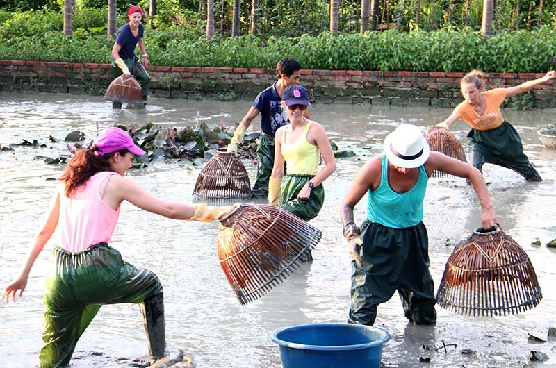 Cộng đồng fan Hoa Ngữ hoạt động tích cực