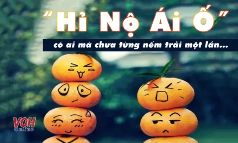 Diễn tả cảm xúc giận dữ trong hỉ nộ ái ố là gì qua diễn xuất