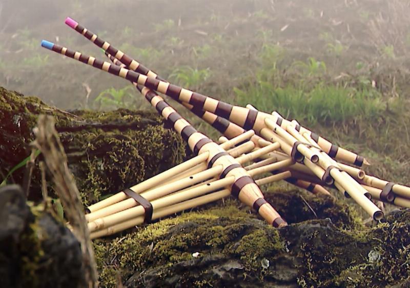 Hình Ảnh Cây Trúc Trong Âm Nhạc
