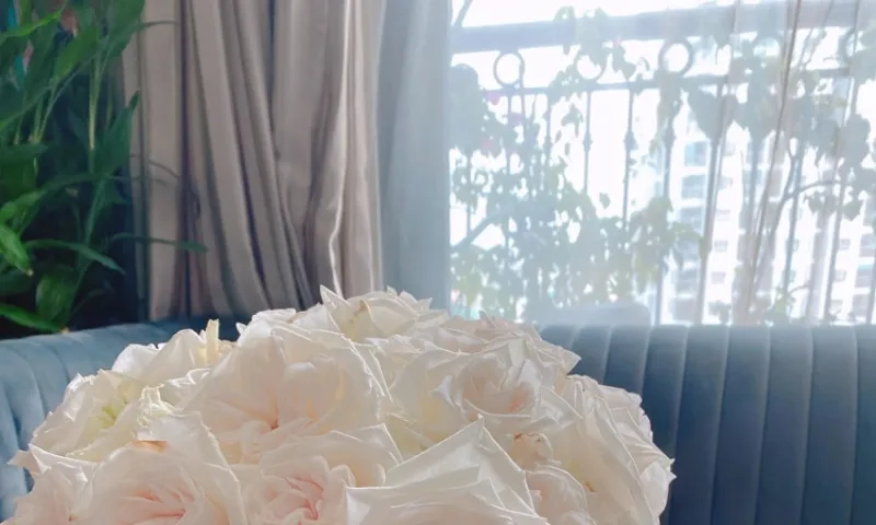 Hỏi đáp về Song Tử 27/5