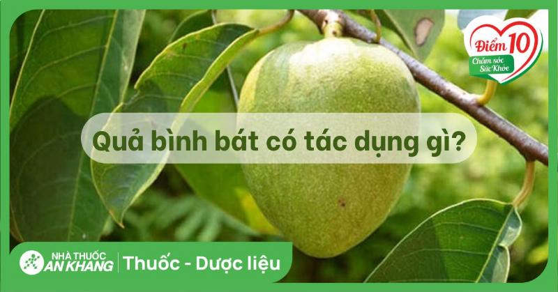 Lá bình bát xanh và hạt bình bát màu nâu đen.