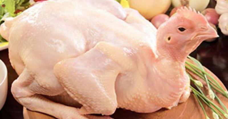 Lựa Chọn Gà Như Thế Nào