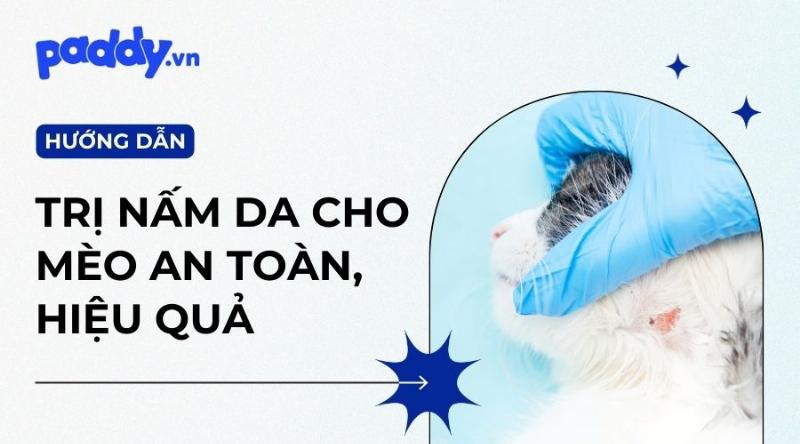 Cac cach phong tranh bi meo cao an toan hieu qua