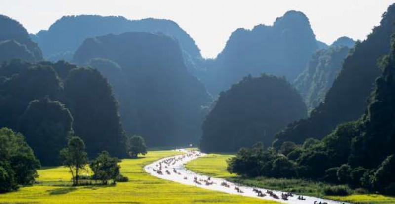 Lối đi bằng gỗ xuyên qua rừng tràm Hồ Cốc với ánh nắng xuyên qua tán lá, tạo nên không gian huyền ảo.