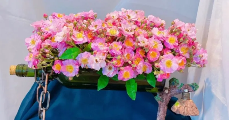 Song Tử 27/5 và các mối quan hệ