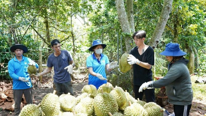 Cuộc cạnh tranh khốc liệt trong thế giới hoang dã của showbiz Trung Quốc