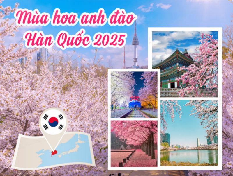 Ve dep va nghe thuat trong hanh trinh le van xuan tren man anh