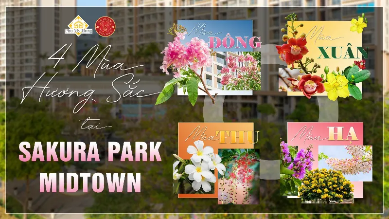 Hình ảnh các loại hoa anh đào sakura khác nhau về màu sắc và hình dáng cánh hoa